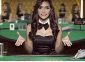 bwin必赢登录入口app官网2024最新版